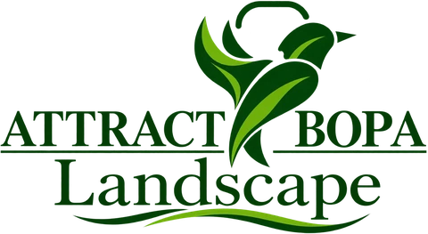 Attract Bopa Landscape